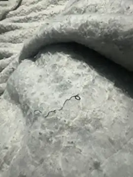 your_love39 (M twink) - #big-cocks #black-hair #cam2cam #cei #cheap-privates #ejaculation #handjob #hd #jerk-off-instruction #latin #leather #masturbation #medium #mexican #mobile #new #small-audience #spanish-speaking #straight #twinks