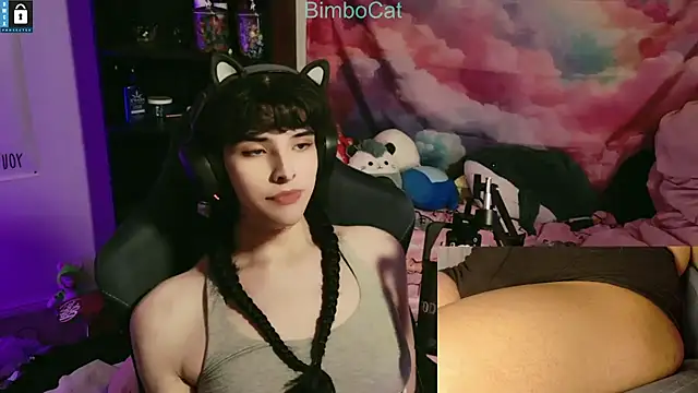 BimboCat