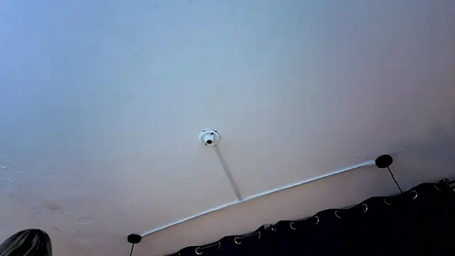  Angel-dragun chat room