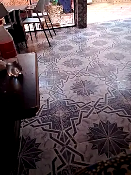 nawara-w's Thumb Image