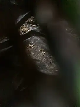 uniquesexyboy5689 (M twink) - Handjob