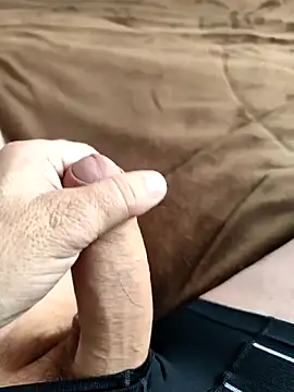 Preview of andrepaus