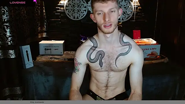 Preview of andrewxbi