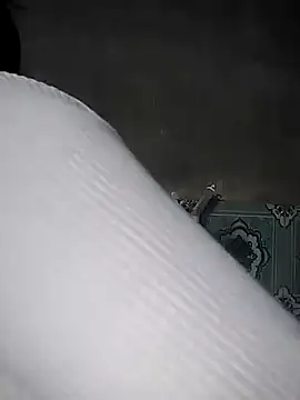 curry50 - Curry50's free webcam