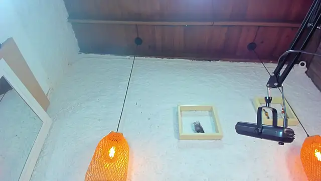 emiily_s (F teen) - squirt