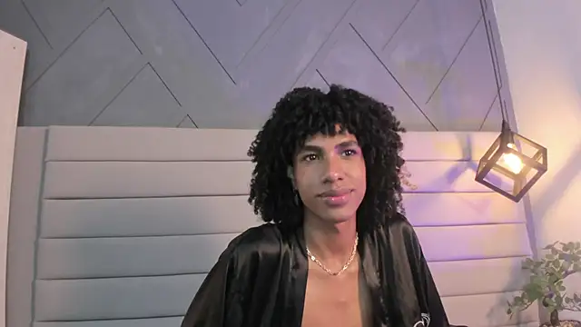 Preview of johan_gz_