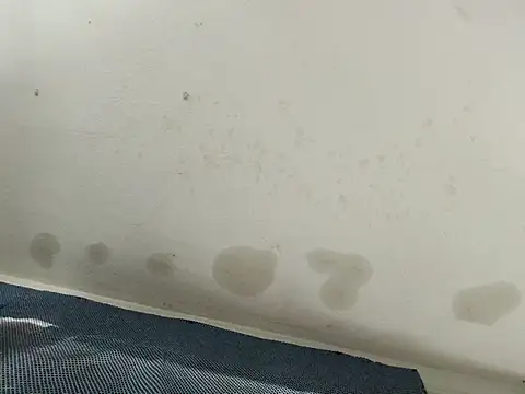 devintoore (Ask my age) - 