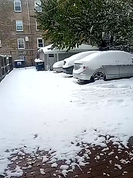 amazonianmistress - AmazonianMistress's free webcam