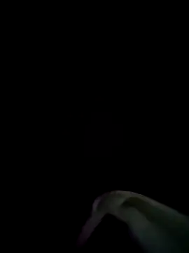 hyderabad003 (M young) - Cum