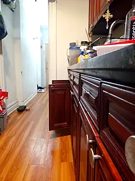 gotabodiee (Ask my age) - #american #big-cocks #bisexuals #blondes #cam2cam #daddies #dirty-talk #ebony #ejaculation #flashing #foot-fetish #hd #humiliation #jerk-off-instruction #luxurious-privates #masturbation #mobile #muscular #nipple-toys #oil-show #outdoor #recordable-privates #recordable-publics #sexting #shaven #shower #small-audience #smoking #spanking