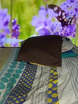 Destrozador415 live cam screenshot male on Home.Pink — Cozy Live Cams & Chat