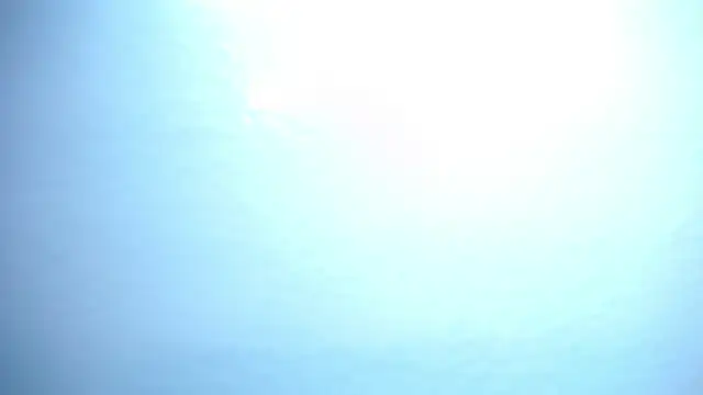 charlotte_jhonson_t_