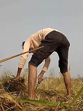 thethunderpo - ThethunderPo's free webcam - UK Sex Cams