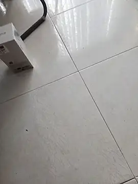 jnilu1227 Live Webcam on Stripchat