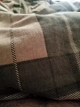 PulaMaresiexcitata12