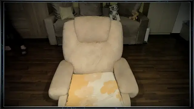 Afbeelding van clementine