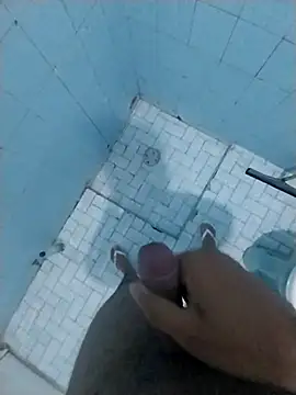 Novinhoamacoroas1002