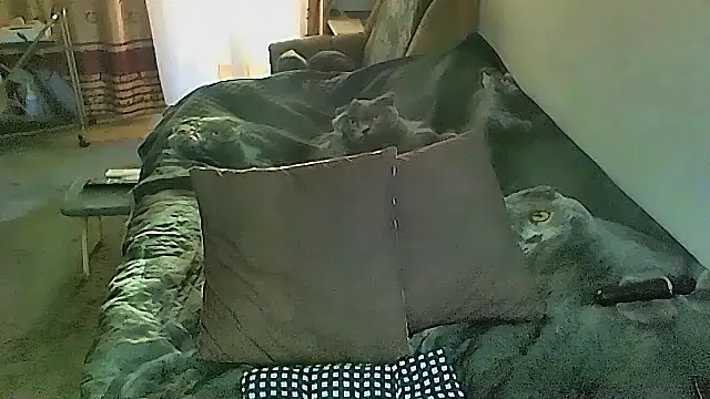 sex2 (F mature) - naked, squirt