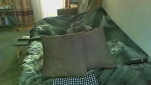 sex2 (F mature) - naked, squirt