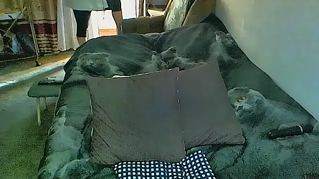 sex2 (F mature) - naked, squirt