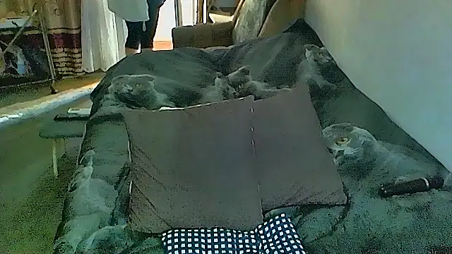 sex2 (F mature) - naked, squirt