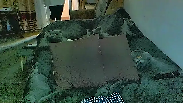 sex2 - Sex2's free webcam - UK Sex Cams