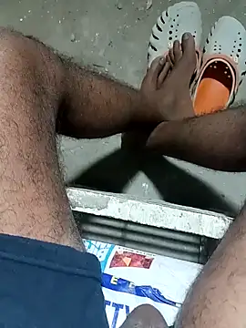 bengali_bull1 (M young) - Hardcore masterbet