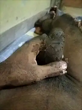 naxus@xh (M young) - Musterbetion enjoy