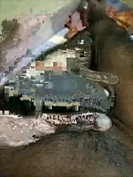 naxus@xh (M young) - Musterbetion enjoy