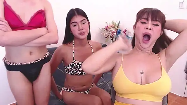 DominnantTransqu... Live Webcam on Stripchat