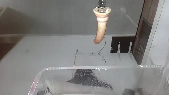 sammyEvans__ Live Webcam on Stripchat