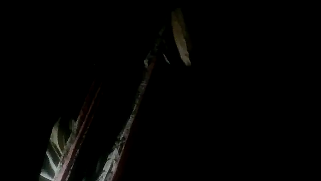 IconicPornStarMysaDelrio