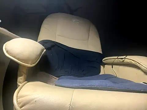 translove - Translove's free webcam