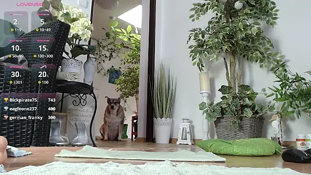 squirtmania - Squirtmania's free webcam - UK Sex Cams