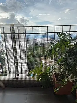 Webcam Model (itsdanividarte)  is live.Free join now!