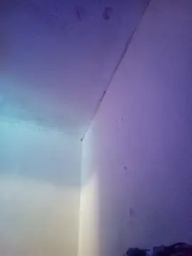 RandalHot Live Webcam on Stripchat