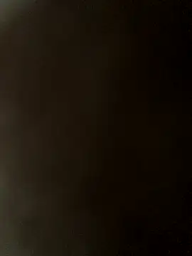 raja-sisi-arbi xxx live show