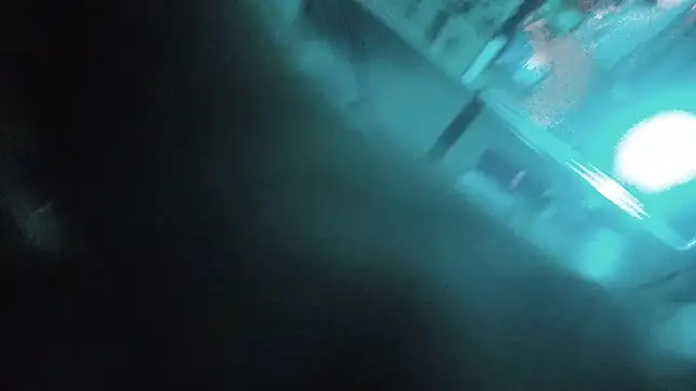 Armyexhibitionistvet