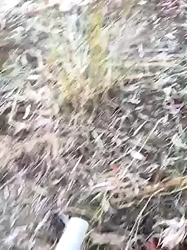 murokkk31 (M young) - #big-cocks #brunettes #cam2cam #cheap-privates #ejaculation #handjob #massage #mobile #muscular #outdoor #white #young