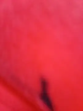 Webcam Model (young_dairy01)  is live.Free join now!