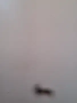 Webcam Model (BriannaVincent)  is live.Free join now!