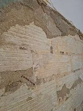 seloloko20 Live Webcam on Stripchat