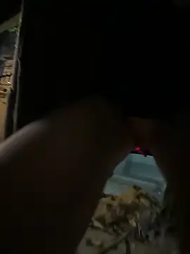 Webcam Model (Hamy88)  is live.Free join now!