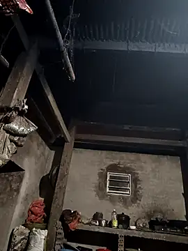 tulipsexy from StripChat is inFreechat