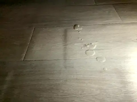 SalesmanAlan Live Webcam on Stripchat