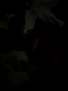 Webcam Model (VIP_MILENA)  is live.Free join now!