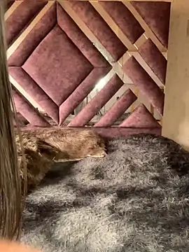 Webcam Model (LunaMoore_Pink)  is live.Free join now!