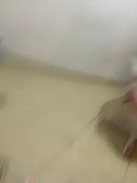 Webcam Model (Hot_farass)  is live.Free join now!