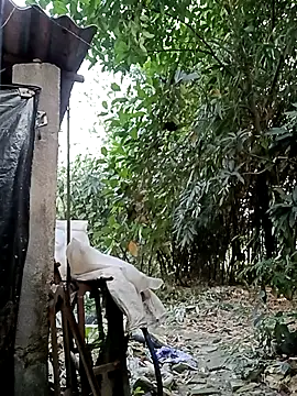 Webcam Model (Hotty-rosni)  is live.Free join now!