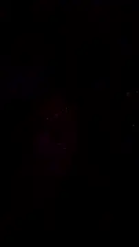 Whitecream (Whitecream88)